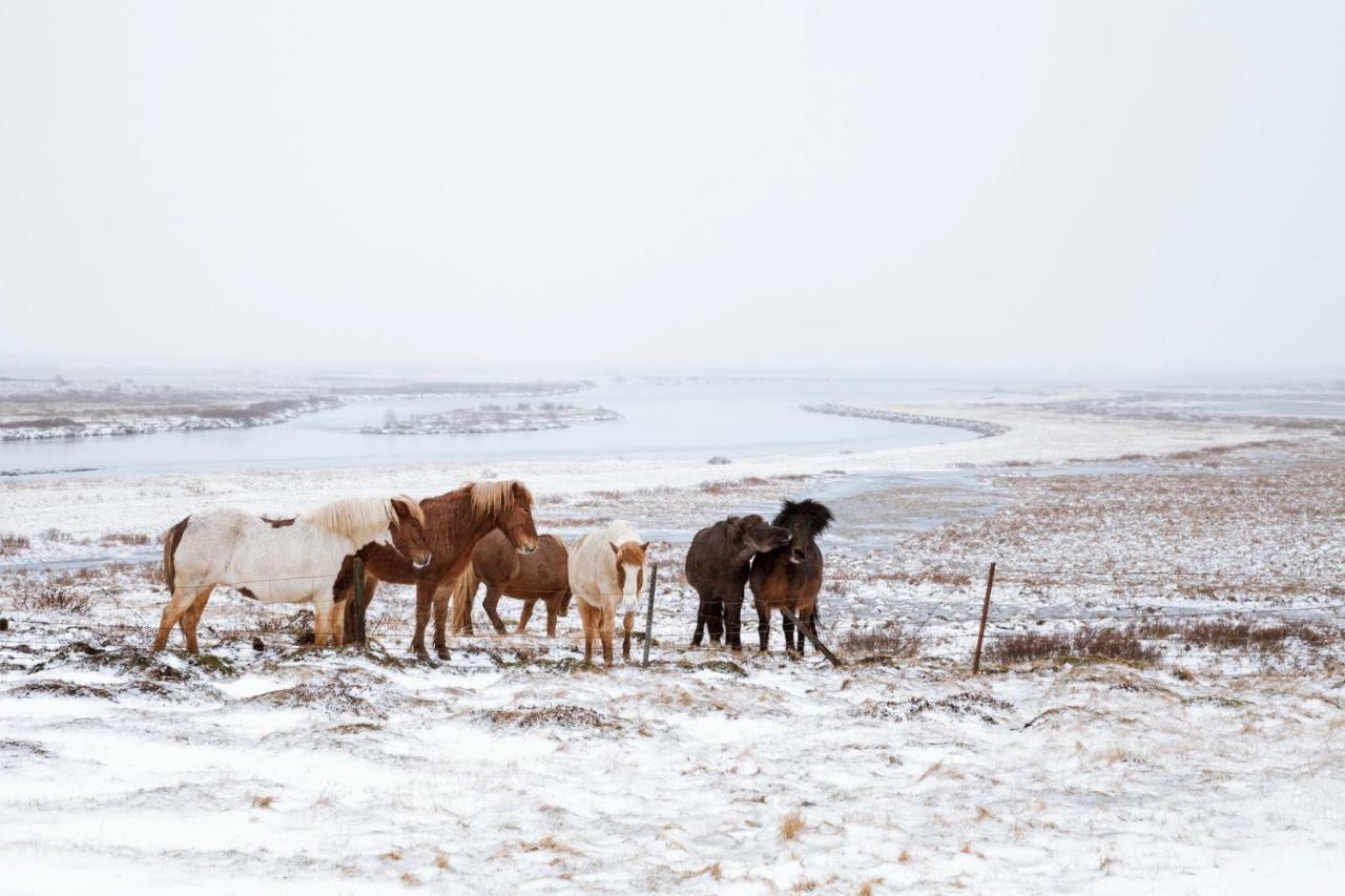 Experience Beautiful Iceland Ólafsvík Exterior foto