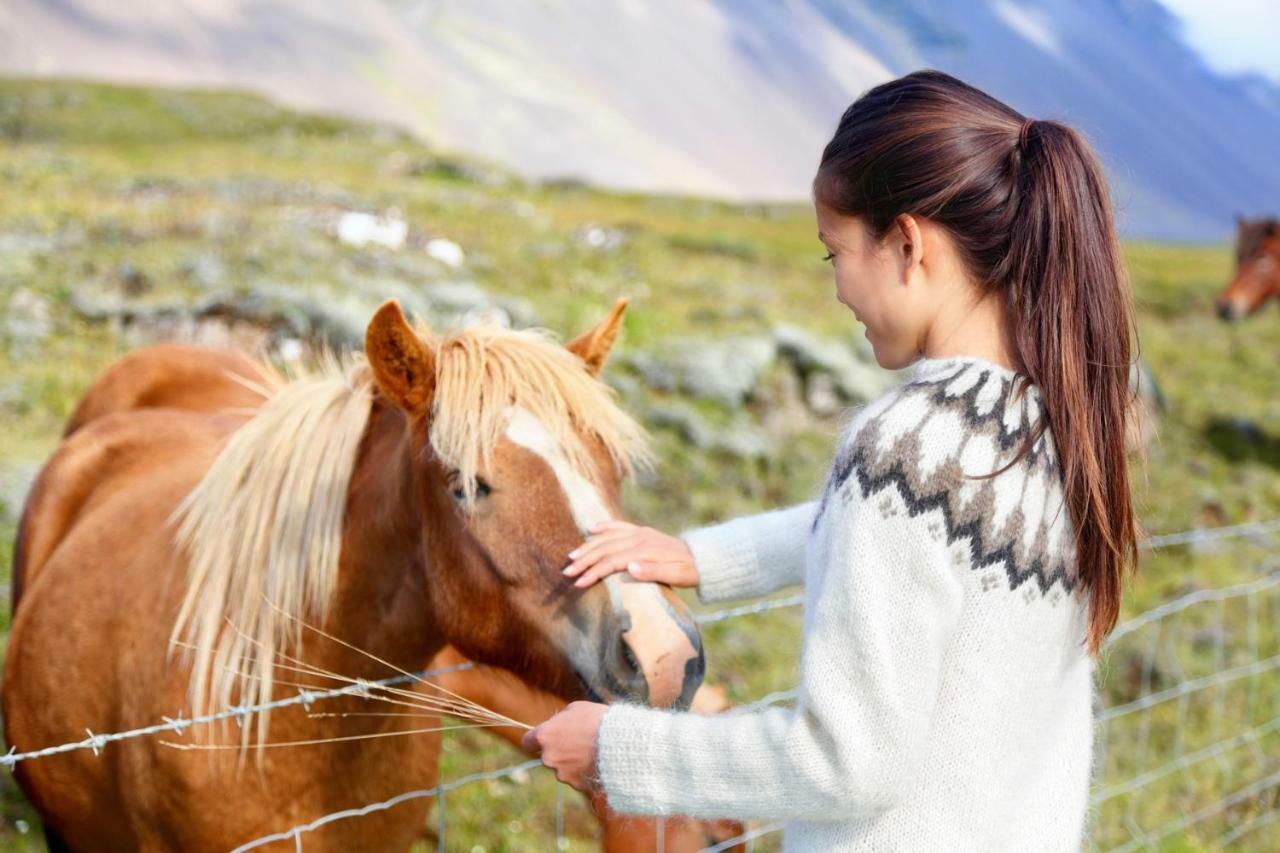 Experience Beautiful Iceland Ólafsvík Exterior foto